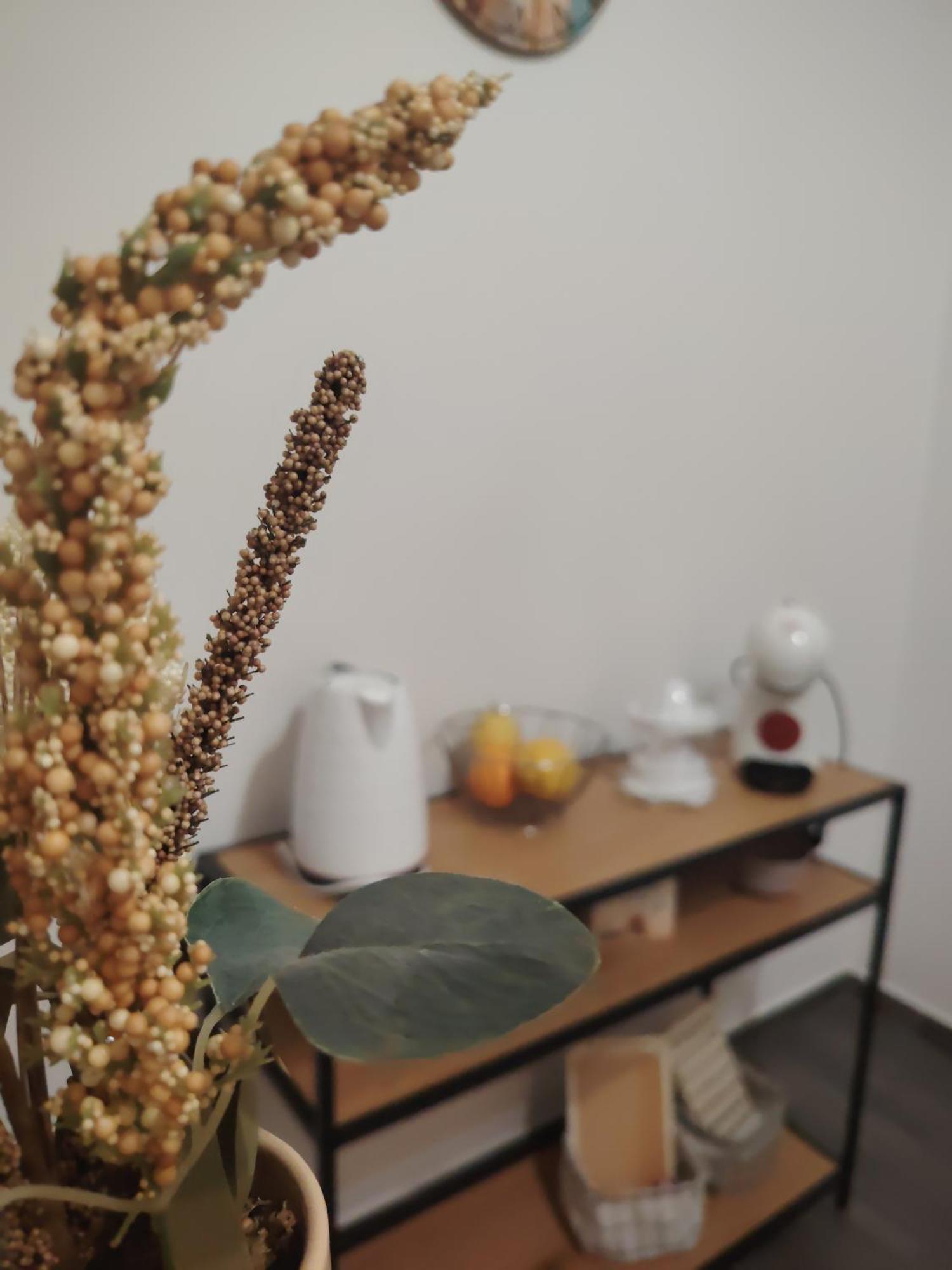 Apartman Hric -50M Od Plaze- Mali Lošinj Buitenkant foto